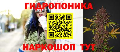 сатива Усть-Илимск