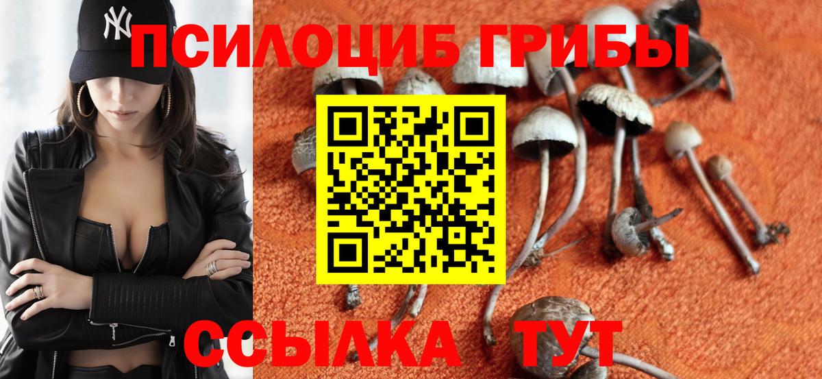 Галлюциногенные грибы мухоморы Осинники