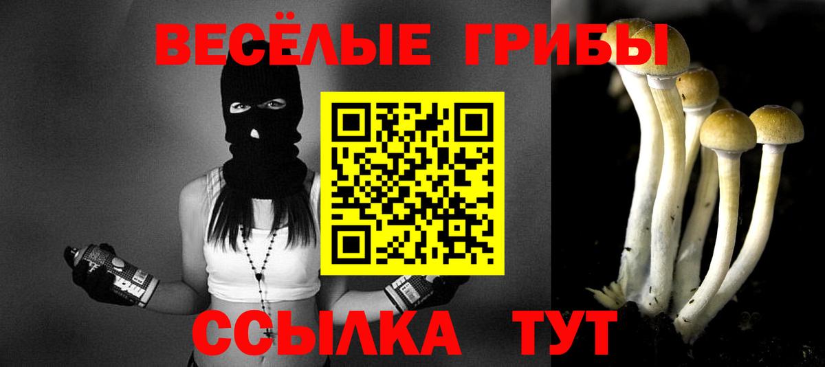 Псилоцибиновые грибы Psilocybe  Вход с VPN  Осинники  Галлюциногенные грибы ЛСД 